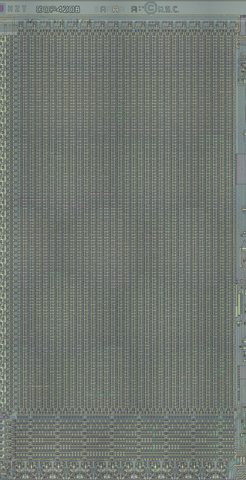 341_0064A_20x_1b_ROM.jpg
