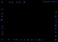 AMD_8085_Pads_150h.jpg