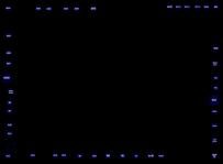 AMD_8085_Pads_orig_150h.jpg