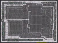AMD_8085_die_shot_20x_1a_150h.jpg