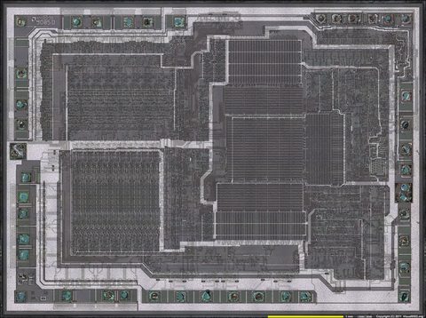 AMD_8085_die_shot_20x_1a_1600w.jpg