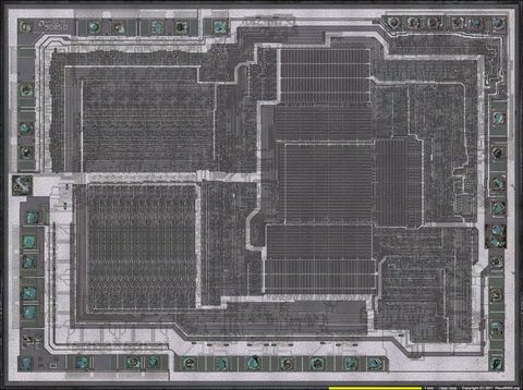AMD_8085_die_shot_20x_1a_8000w.jpg