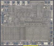 TMS1000_20x_1b_150h.jpg