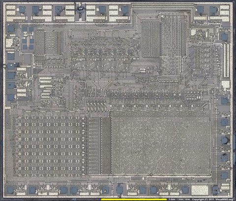 TMS1000_20x_1b_1600w.jpg