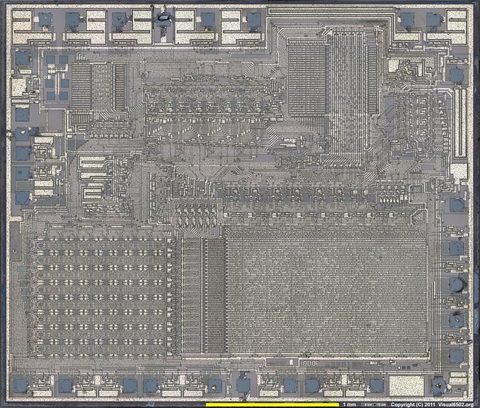 TMS1000_20x_1b_6500w.jpg