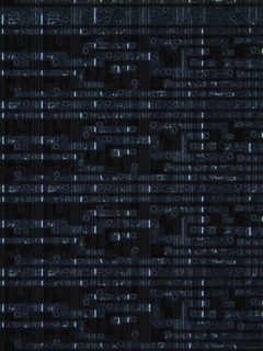 6507_20x_top-000008r.jpg